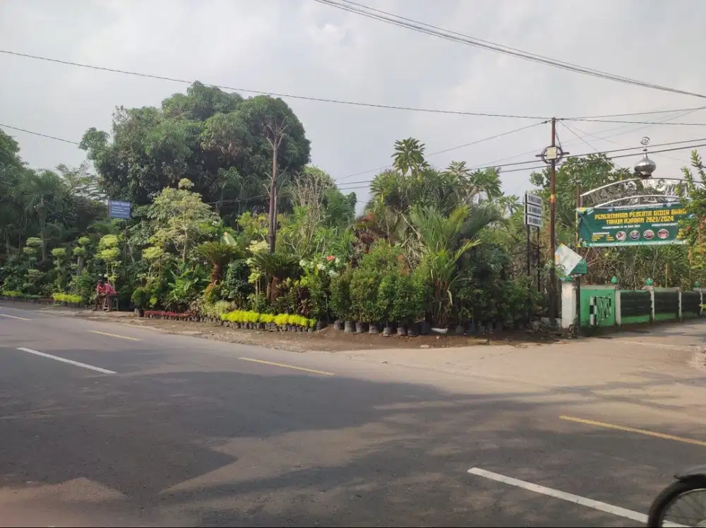 Jual Cepat Tanah Produktif Siap Pakai