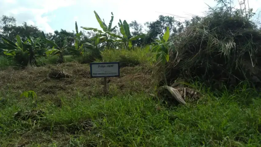 Dijual tanah kapling murah BU sebelah green land