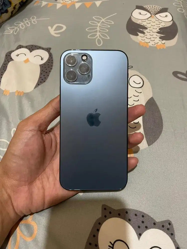 Di Jual Iphone 12 Pro