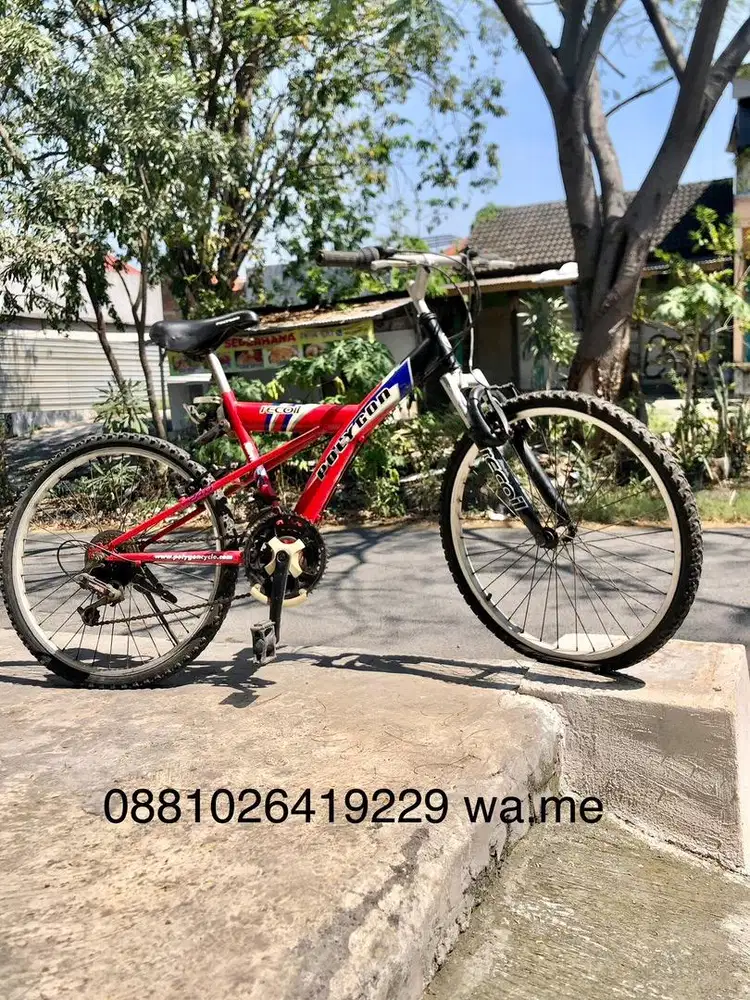 SEPEDA MTB 20 POLYGON