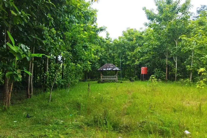 Jual tanah kavling pinggir jalan raya