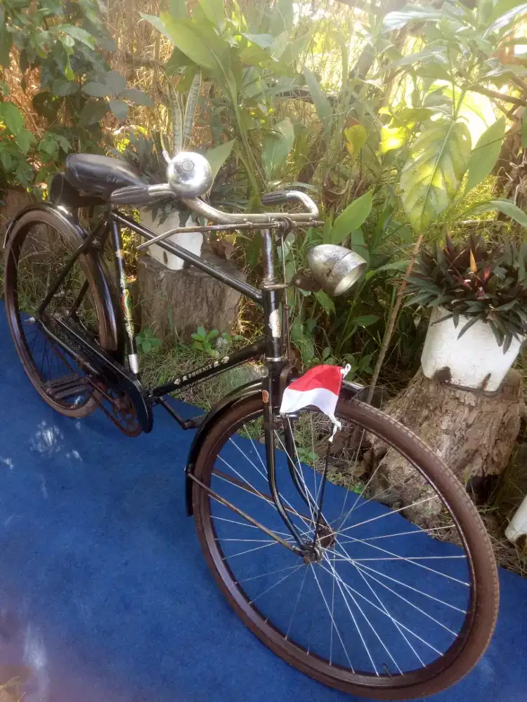 Sepeda kebo#onthel kuno