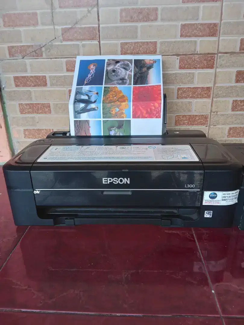 Printer epson l300