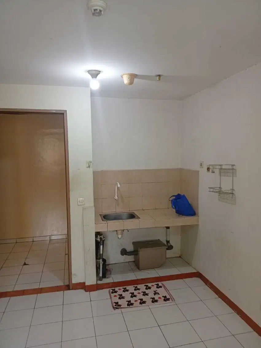 Apartment Palm Mansion (2 BR)