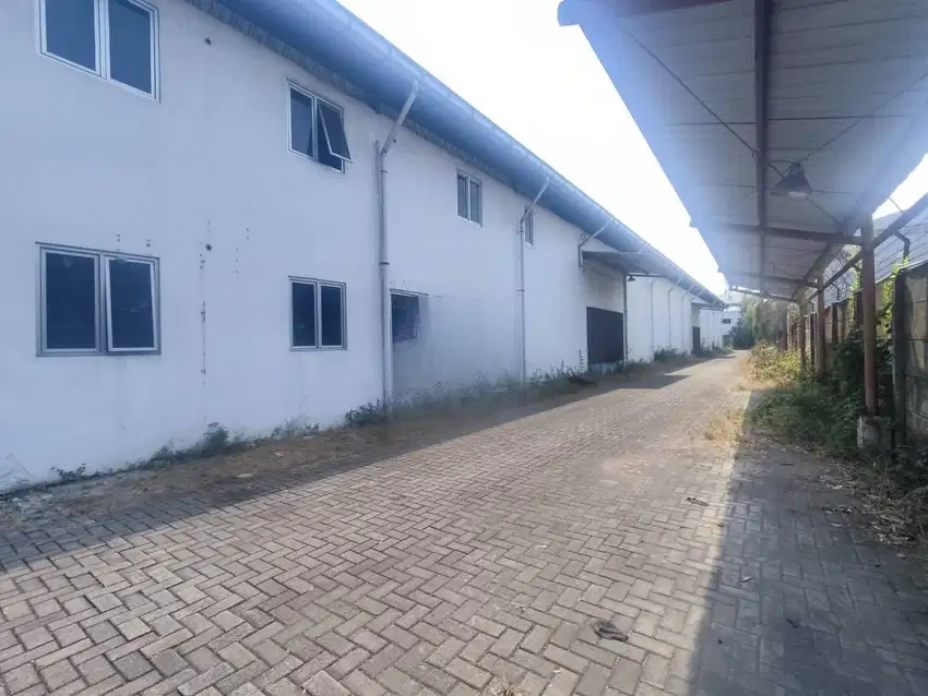 Di sewakan gudang besar pinggir ringroad jogja
