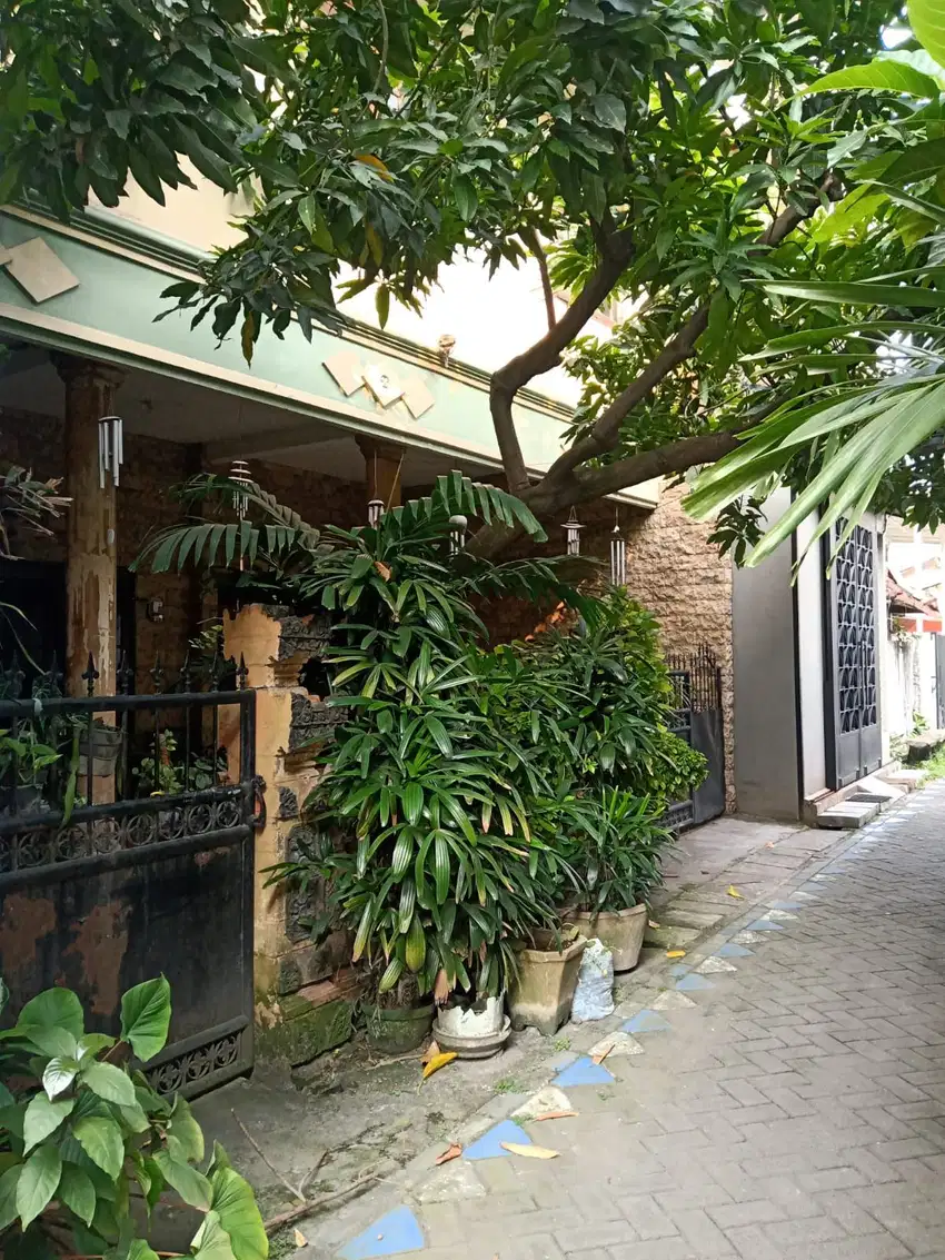 DIJUAL RUMAH & KOS2an Jl. Kedondong Lor Surabaya Pusat
