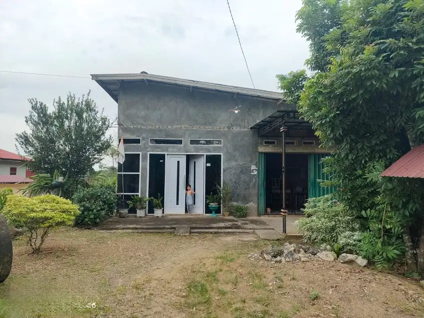 Rumah dijual ada sarang wallet Paser, T Grogot, Tepian Batu, Kaltim
