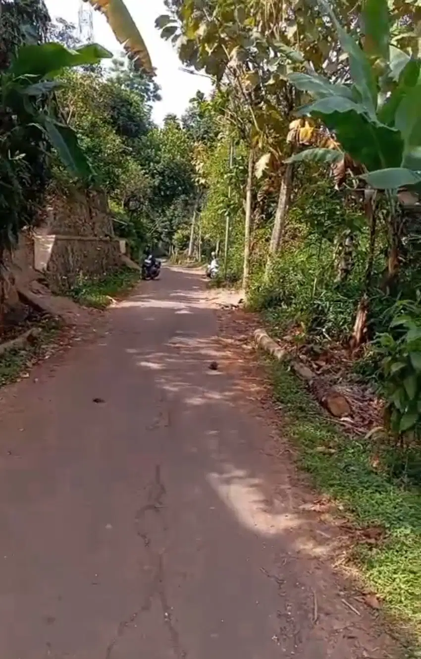 Tanah murah Jatisari Cangkuang Kab bandung