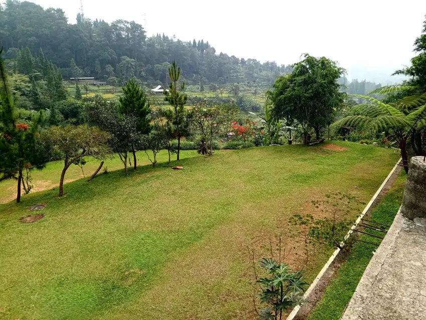 DIJUAL LAHAN KAWASAN MEGAMENDUNG DENGAN PEMANDANGAN INDAH