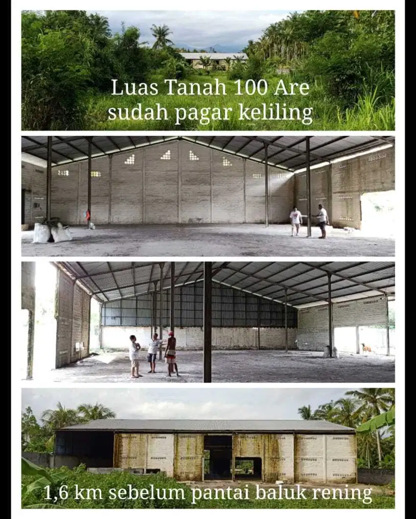 Jual Tanah Murah bekas pabrik dekat pantai baluk rening jembrana Bali