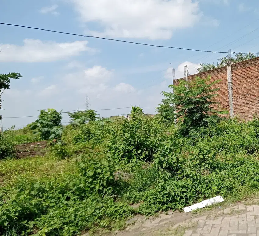 Tanah murah belakang kampus UMM cocok untuk rukos