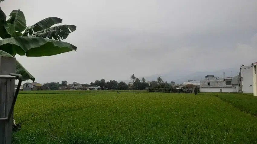Tanah Sawah Luas Strategis Jalan Utama di Soreang