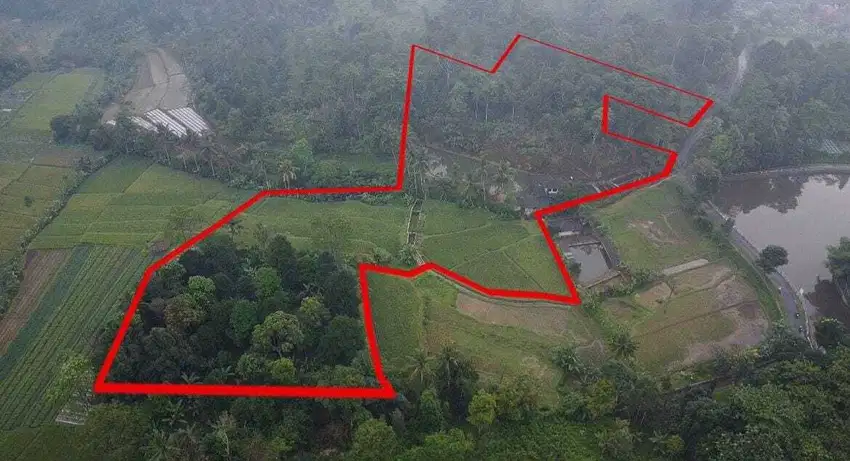 Tanah Kebun Durian + Rumah villa + Kolam Ikan + Sawah Dijual Murah