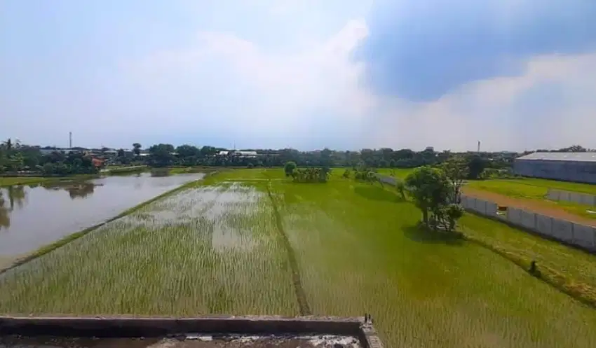 Tanah Dijual Buduran Sidoarjo, Lokasi Strategis Kawasan Industri