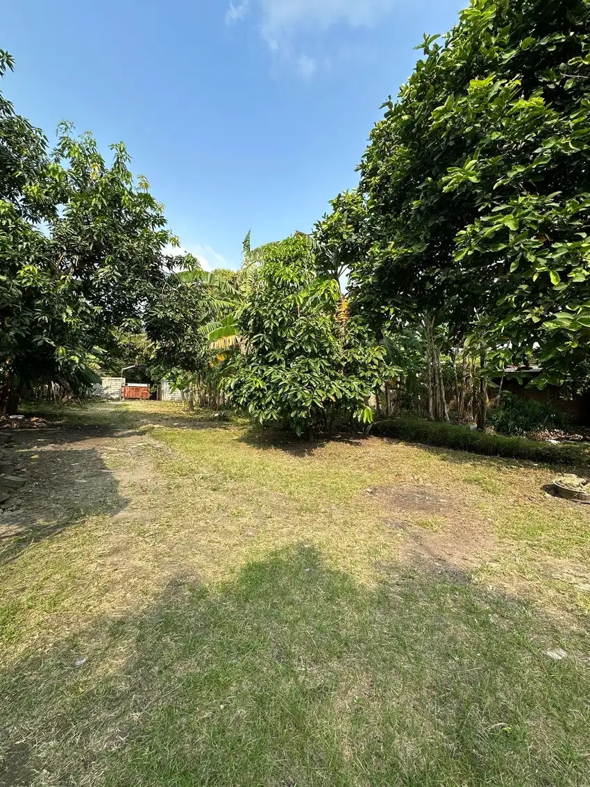 Dijual Kavling ,mess & tanah kebun