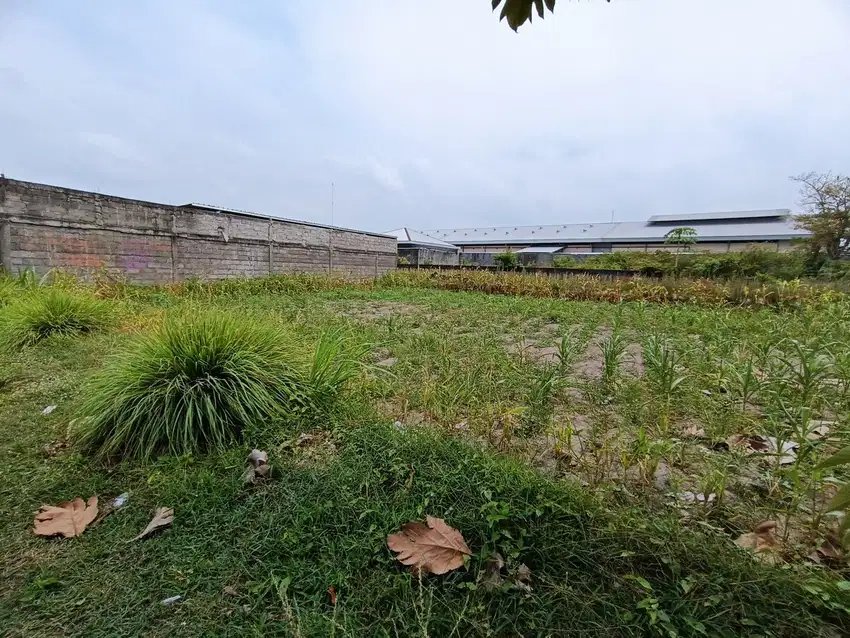 Kavling 3jutaan area Palagan,Siap Akad Notaris