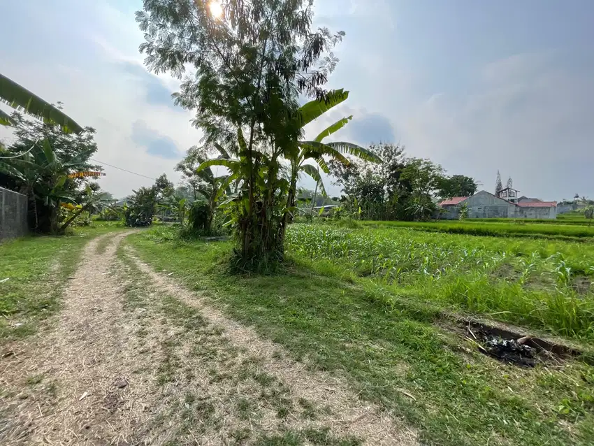 Tanah Murah 3 JUTAAN Jogja, Jl. Kaliurang Dekat Kampus UGM