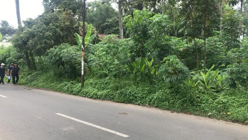 Land for Sale at Salatiga Prime Area Suit for Housing Cluster & Stores