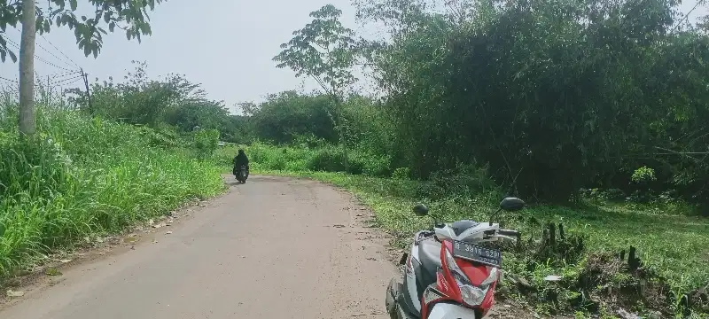 disewakan tanah di Cisauk