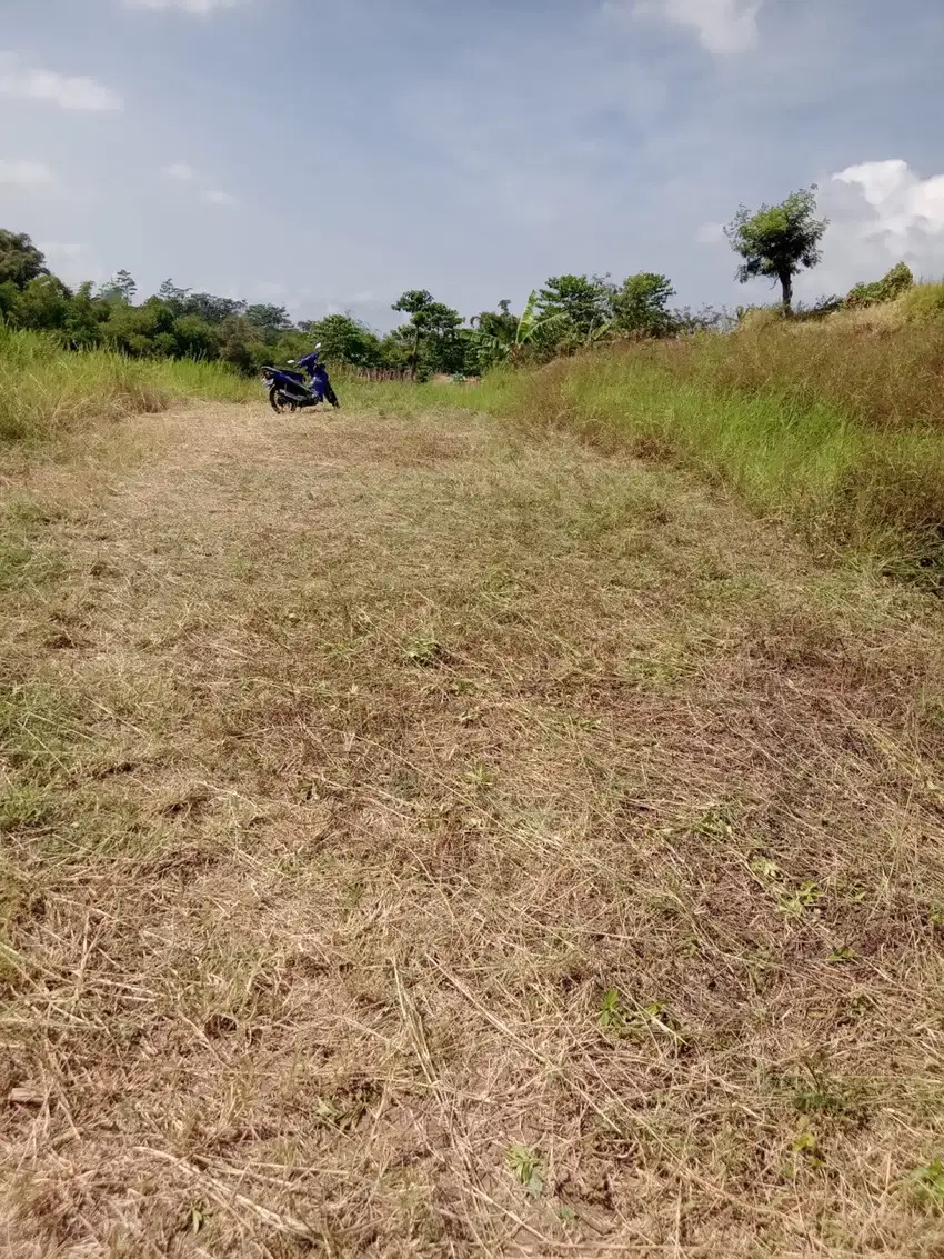 Tanah Cocok Buat Villa Strategis Dekat Pusat Kota Batu Malang