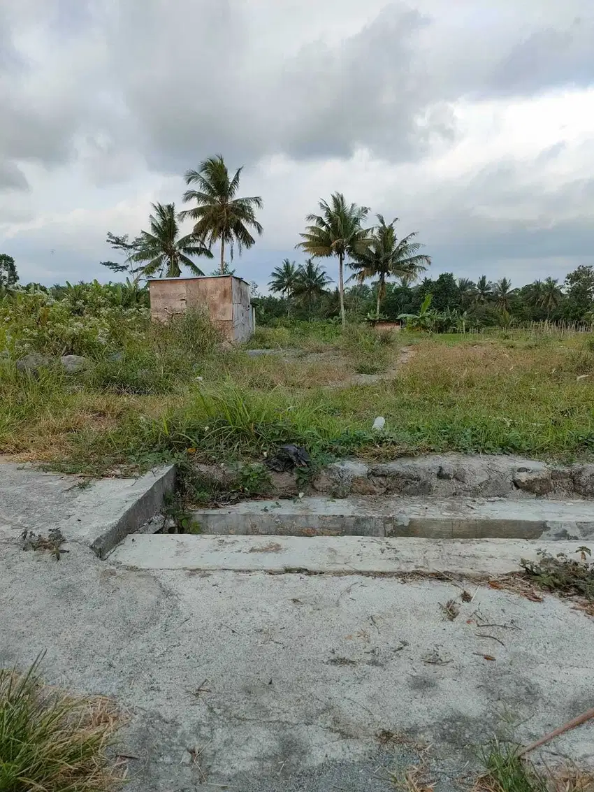 Di Jual Tanah Murah Mangku Jalan Aspal Utara Sleman City Hall Jogja