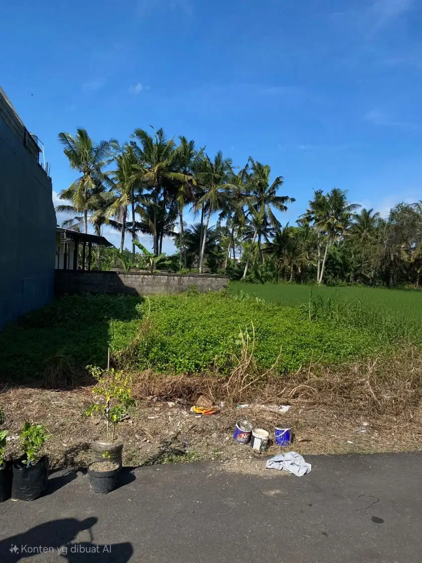 Jual Tanah Harga Global Luas 1.7are/170m² Lokasi Dukuh Sari Gianyar