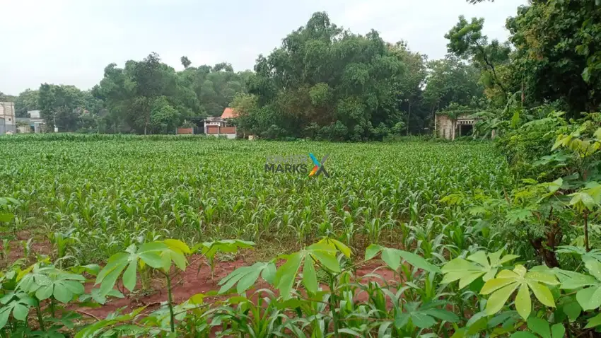 Dijual Tanah di Daerah Semanding, Tuban