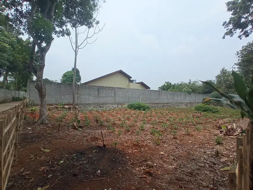 Area Rumpin Dijual Tanah Murah - 14 Menit Stasiun Cicayur