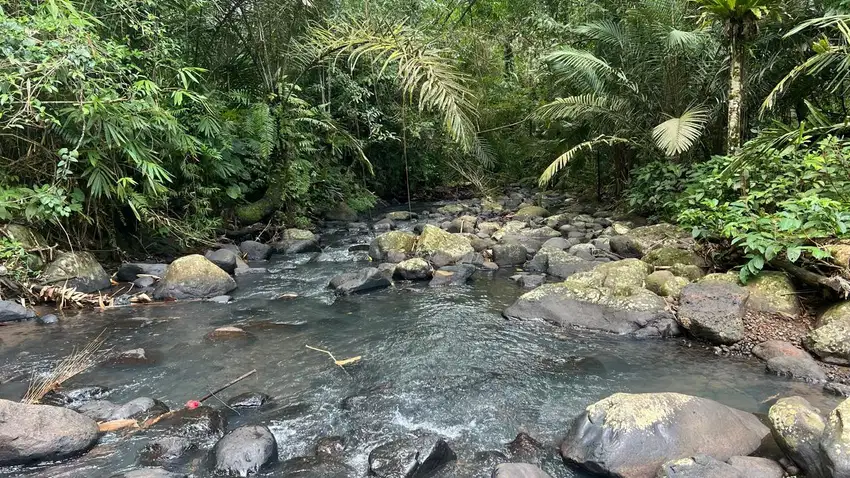 Jual tanah kebun Los sungai indah di tabanan bali