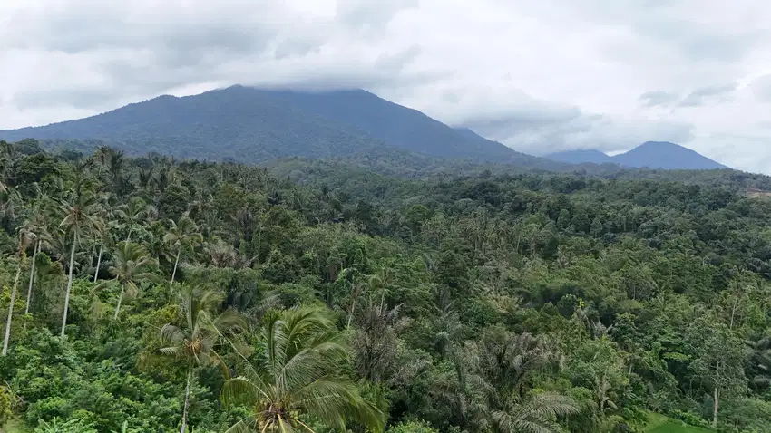 Jual tanah luasan kecil view gunung sejuk di tabanan bali
