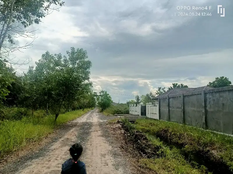 Jl. Buluh Merindu mahir mahar (Ahmad Dody)