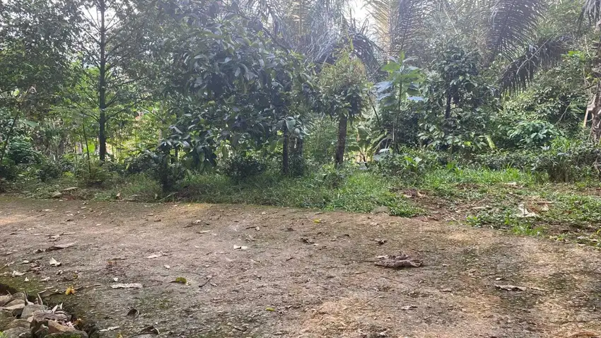 Dijual Murah Tanah 1000 m2 di Kampung Udara Sejuk Bojong Purwakarta