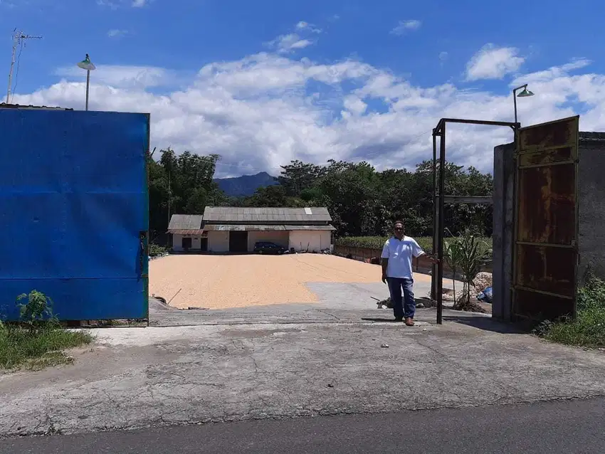 DIJUAL CEPAT GUDANG JEMUR/PENGERINGAN 2.5M NEGO!