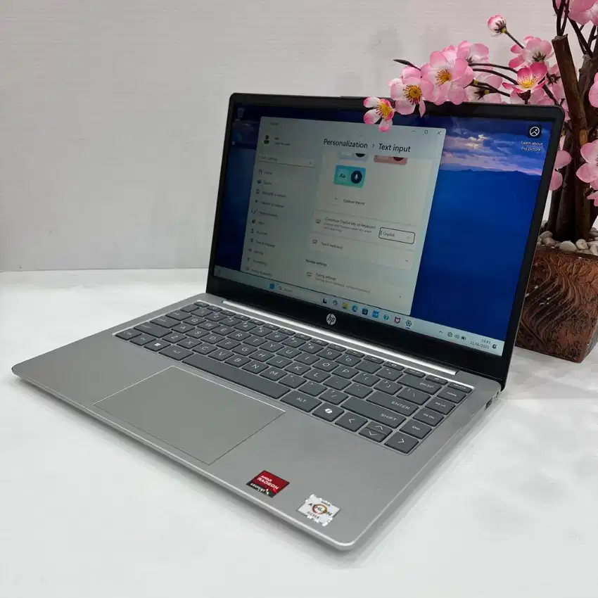 LAptop Murah HP 14 EM0195/0196U AMD Aton Silver 7210 8 GB SSD 512GB