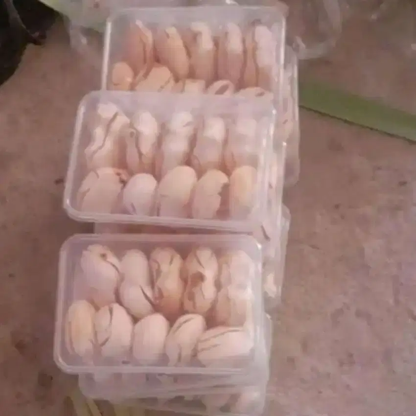 SIWALAN KUPAS Premium