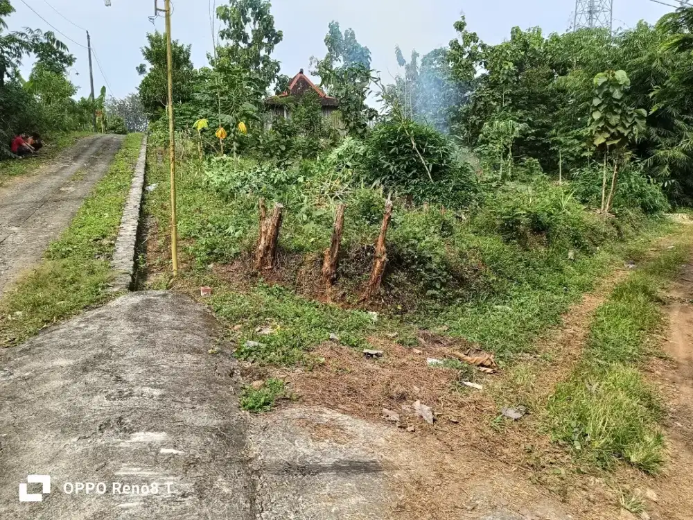 dijual Tanah milik sendiri