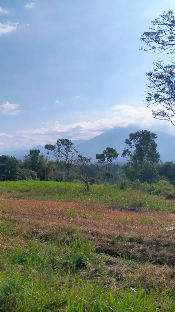 Tanah View Lepas Gunung salak Sejuk 700 MDPL di bogor ciawi