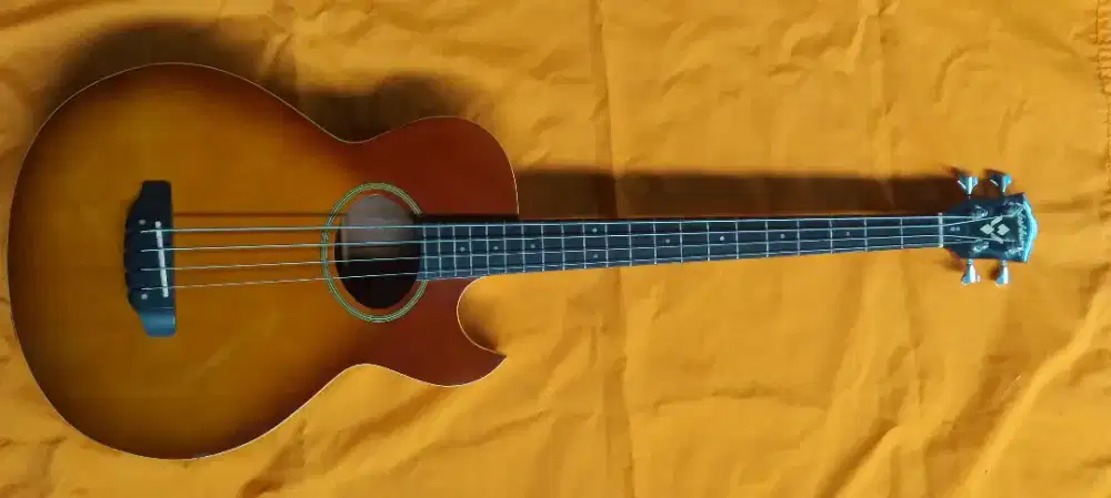 Bass accoustic/ Electric Washburn