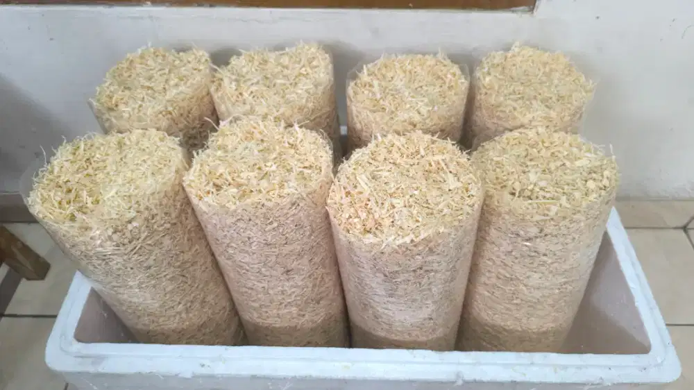 Serbuk kayu untuk hamster, landak mini dll