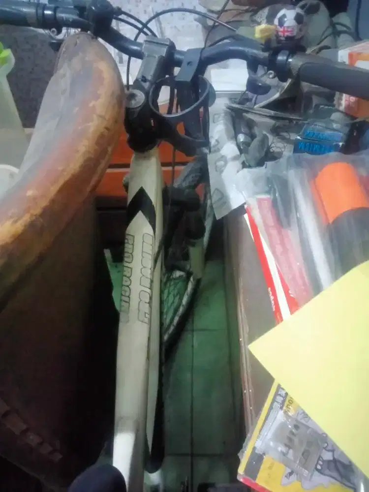 FS Sepeda 26 MTB Phoenix no minus