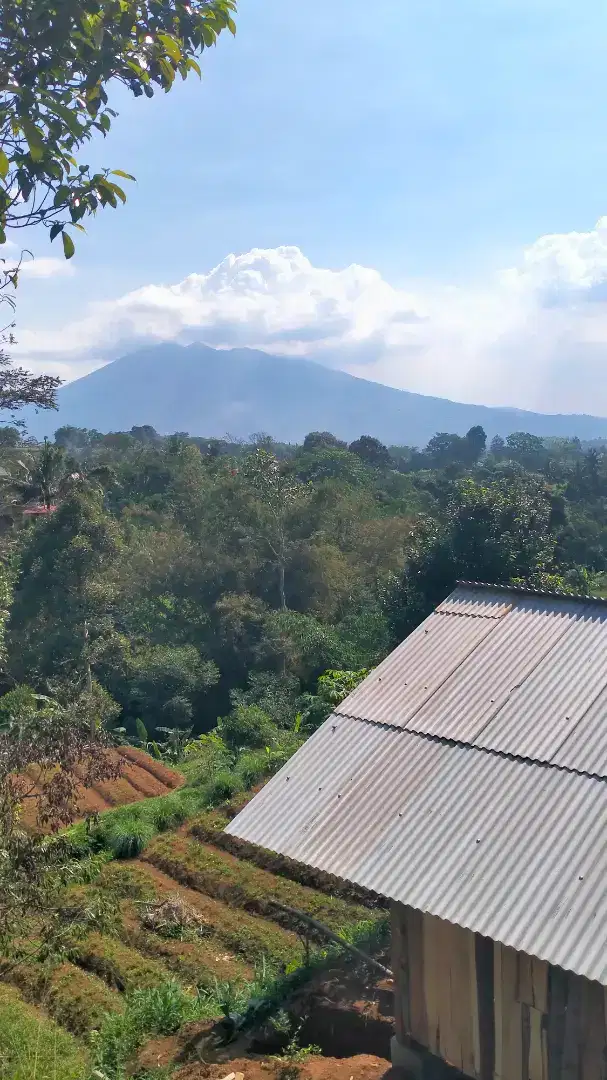 Tanah D caringin View Gunung salak Sejuk Jln lebar