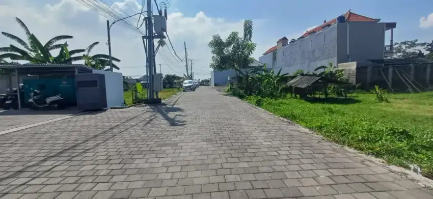 JUAL TANAH PURA DEMAK 9 ARE