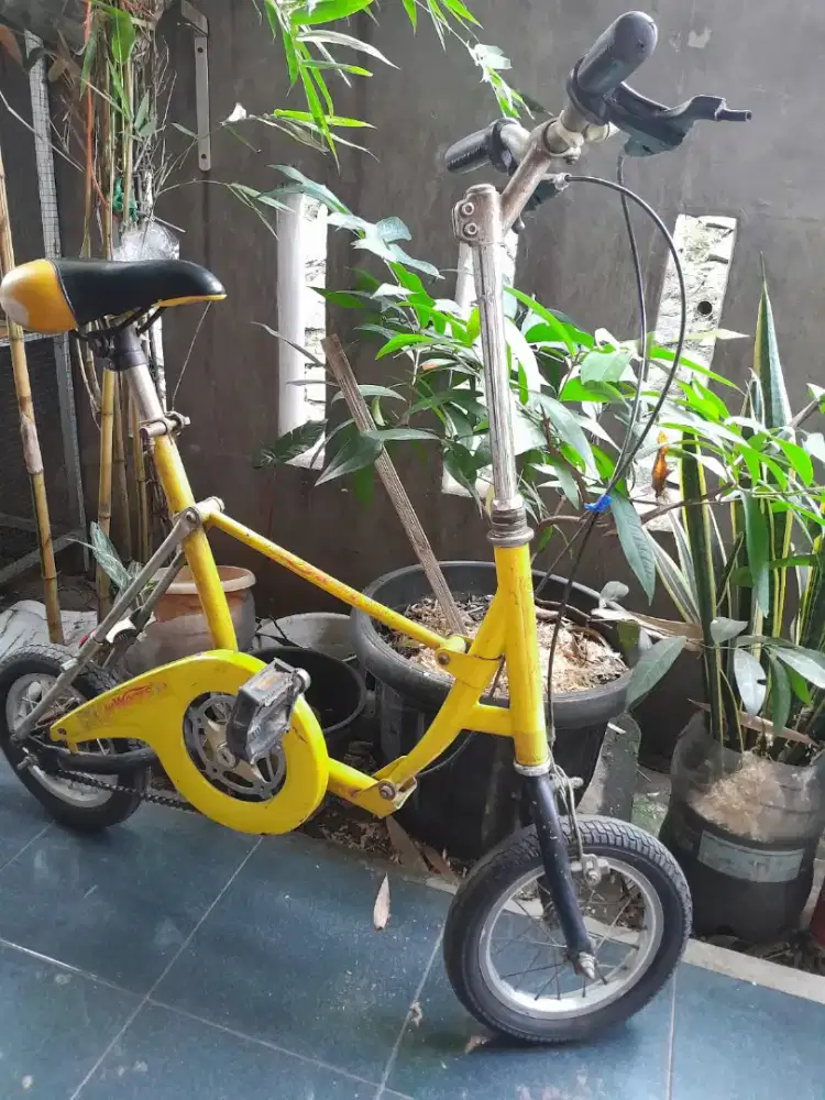 Dijual cepat *SEPEDA PICNICA*