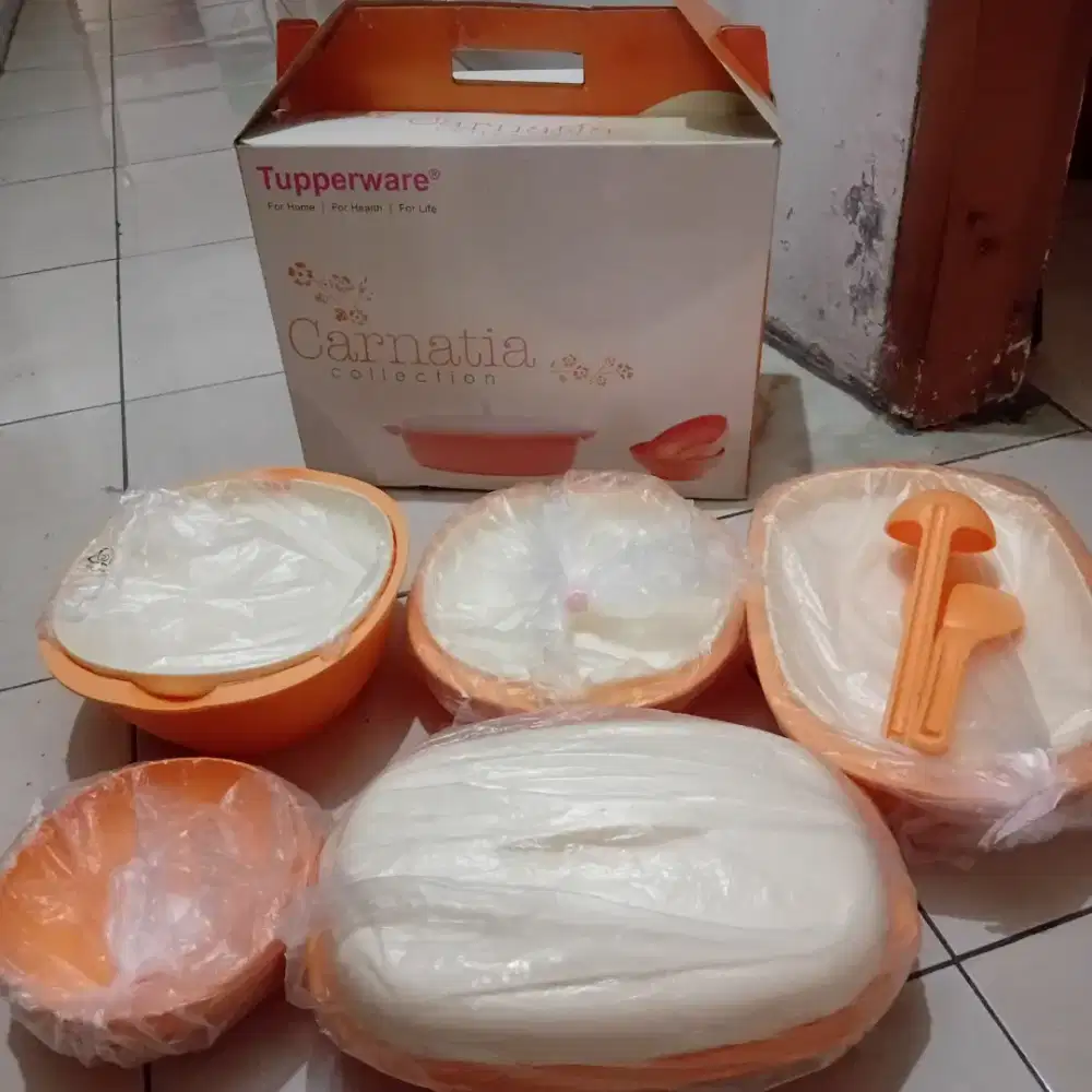Tupperware Carnatia collection