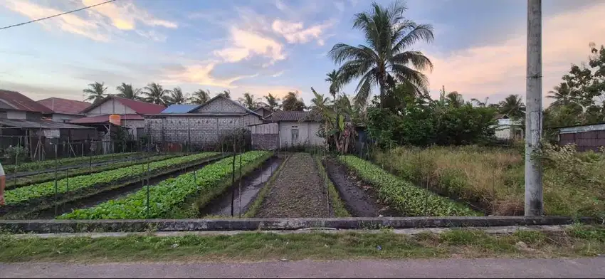 DIJUAL TANAH KAVLING LOKASI SANGAT STRATEGIS Rp. 85.000.000 (nego)