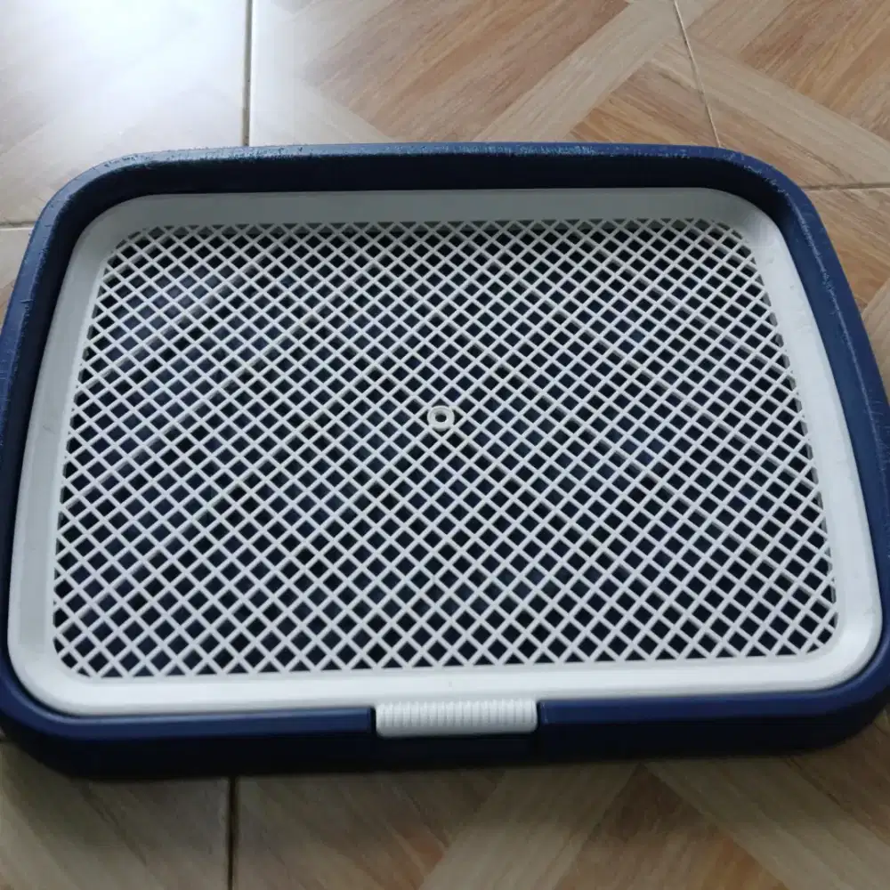 POTTY TRAINING UK JUMBO