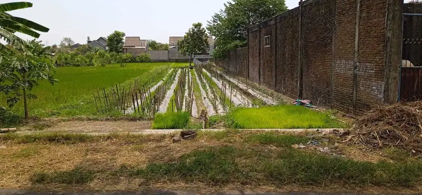 BUTUH UANG JUAL TANAH DI SEKITARAN SSA SEWON BANTUL YOGYAKARTA