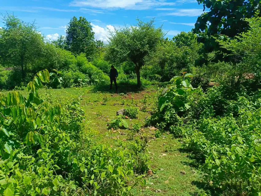 Dijual Tanah Startegis Jimbaran Bali