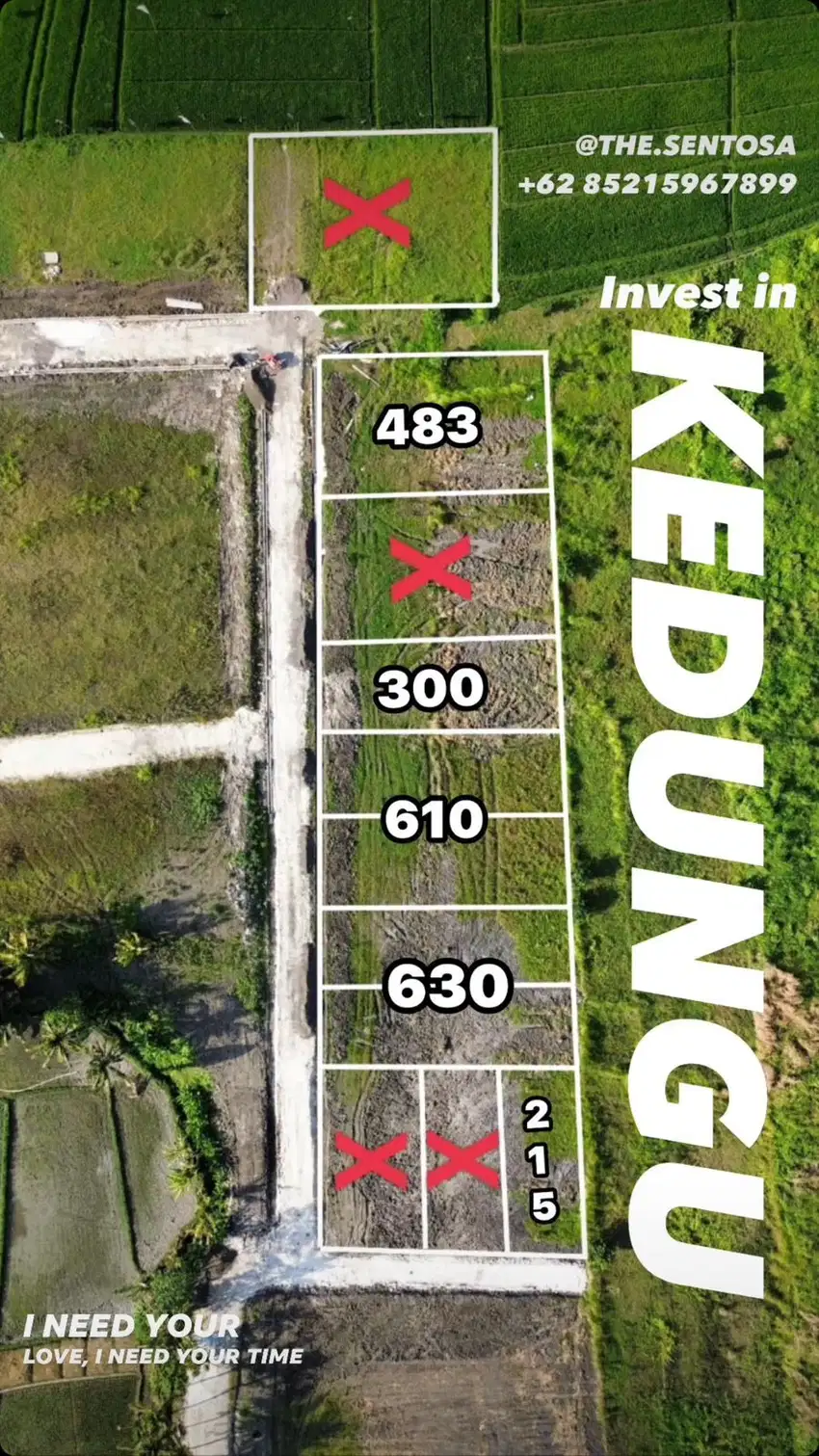 KEDUNGU VIEW SAWAH LINGKUNGAN VILLA