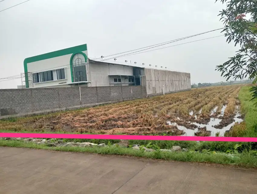 tanah zona merah murah harga bawah pasar